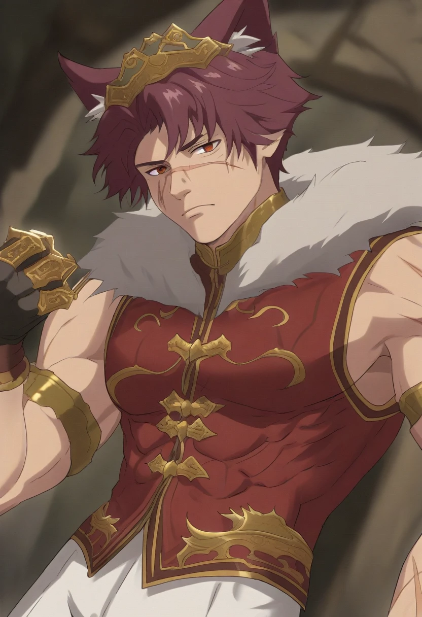 {{portrait, dutch angle}} {{Artist: Sincos}} 1male, solo, toned male, scar across nose, horizontal scar, maroon hair, short hair, large, broad, muscular, bare-chested, vest, fur collar, Sett, League of Legends, eastern fantasy, white pants with gold, brass knuckles, cat ears, cat ears on head, maroon cat ears, tall, amber eyes