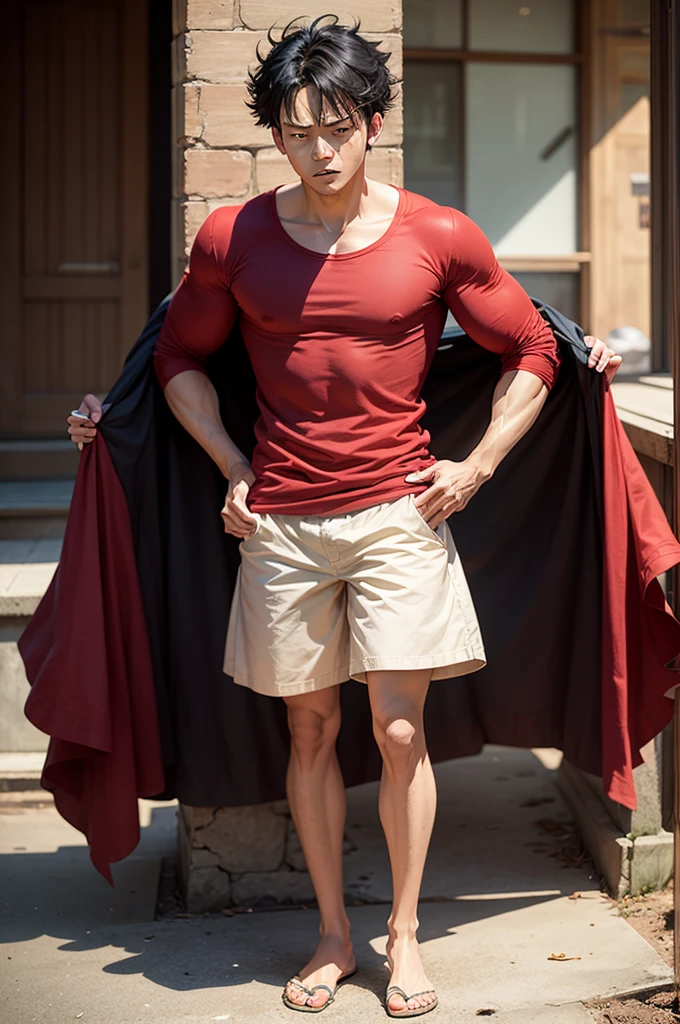 Luffy in the red shirt