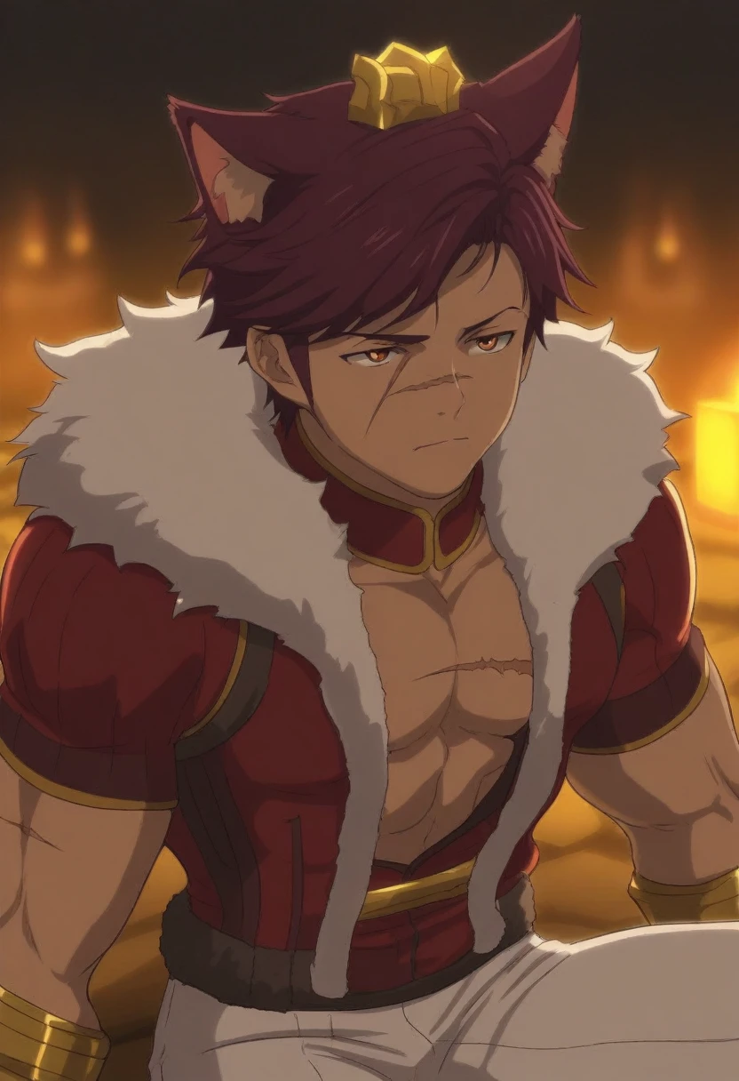 {{portrait, dutch angle}} {{Artist: Sincos}} 1male, solo, toned male, scar across nose, horizontal scar, maroon hair, short hair, large, broad, muscular, bare-chested, vest, fur collar, Sett, League of Legends, white pants with gold, cat ears, cat ears on head, maroon cat ears, tall, amber eyes, low light, firelight