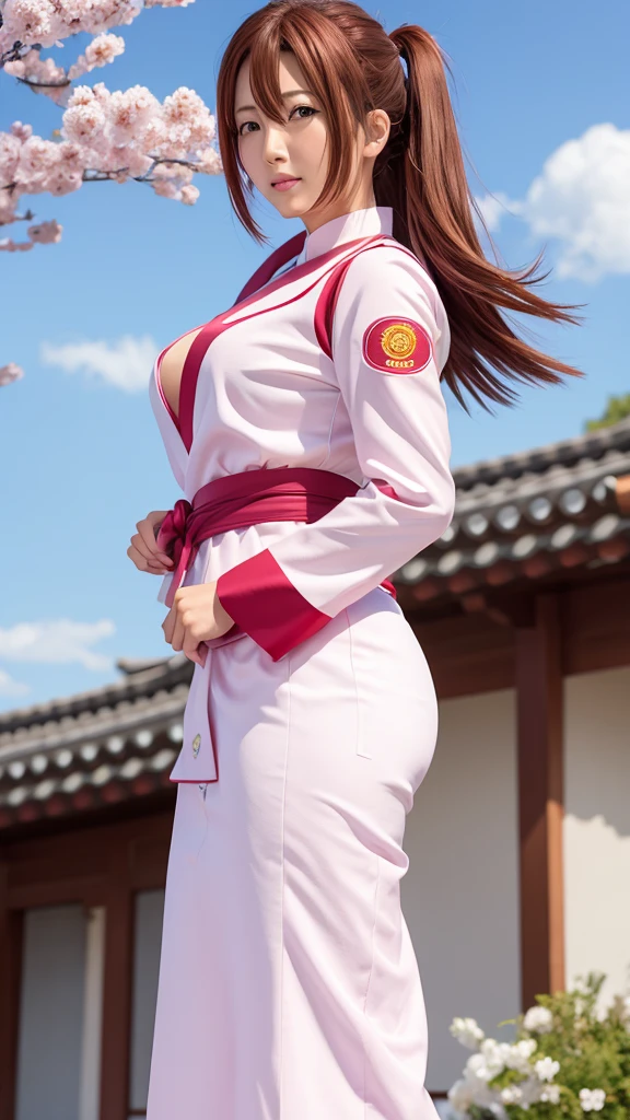 Sakura Wars Jinguji Sakura