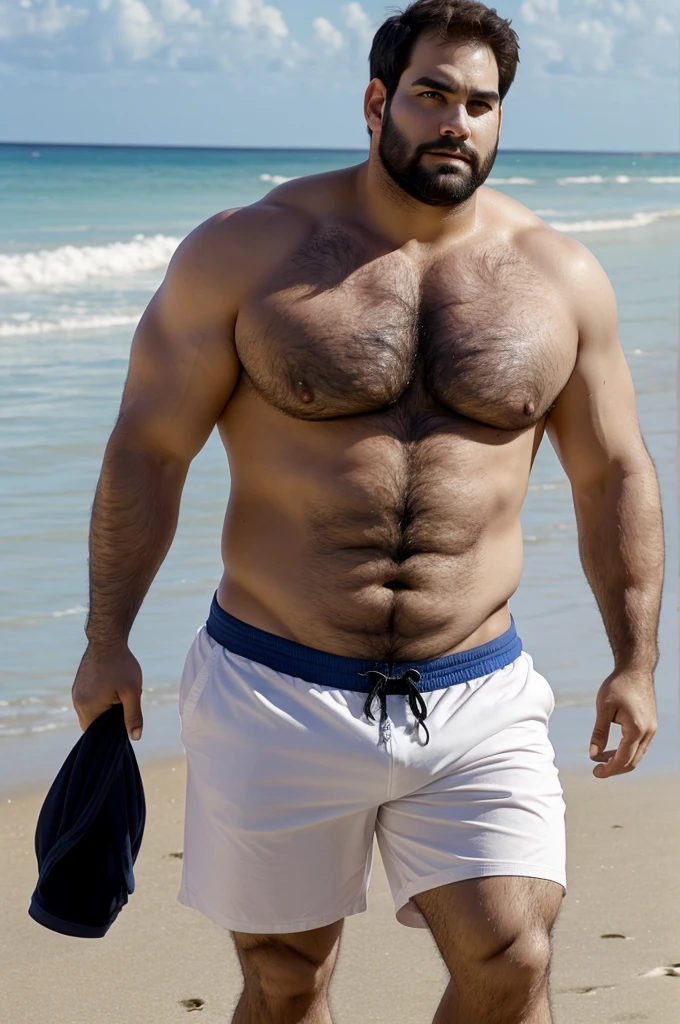 A man, Big, rubio, on the beach, shirtless and no shorts, very hairy