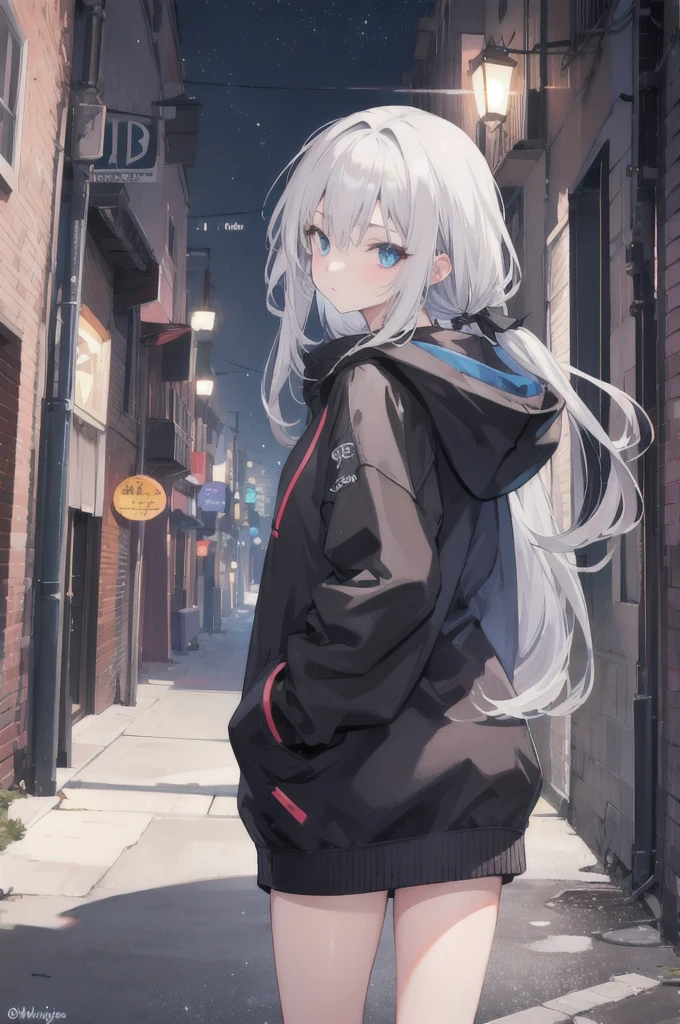 One girl,City of night,Wearing a hoodie，Gray Hair，Back Alley