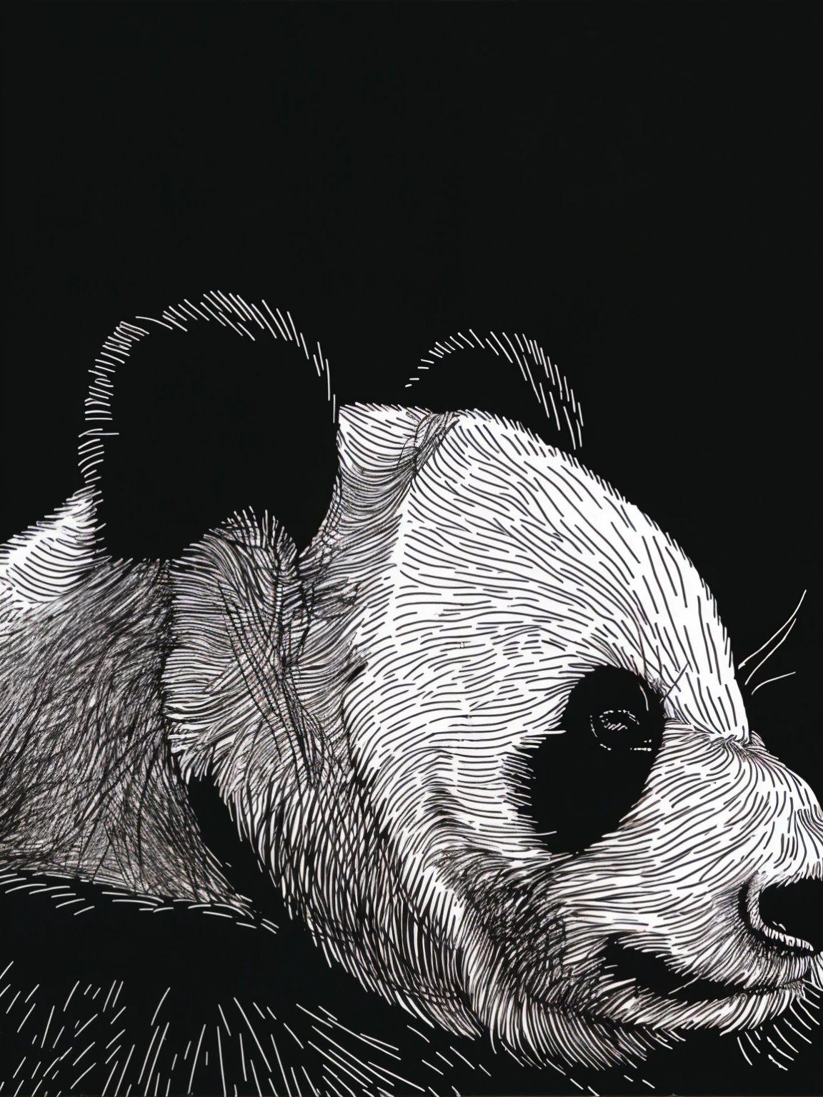 panda bear with black and white ink on black background, panda, endangered, feng zhu |, detailed portrait, wildlife illustration, panda panda panda, highly detailed vector art, by Charlotte Harding, animal portrait, highly detailed portrait, close portrait, highly detailed ink illustration, yuli ban, black and white vector art, high contrast wood engraving, chinese brush pen illustration