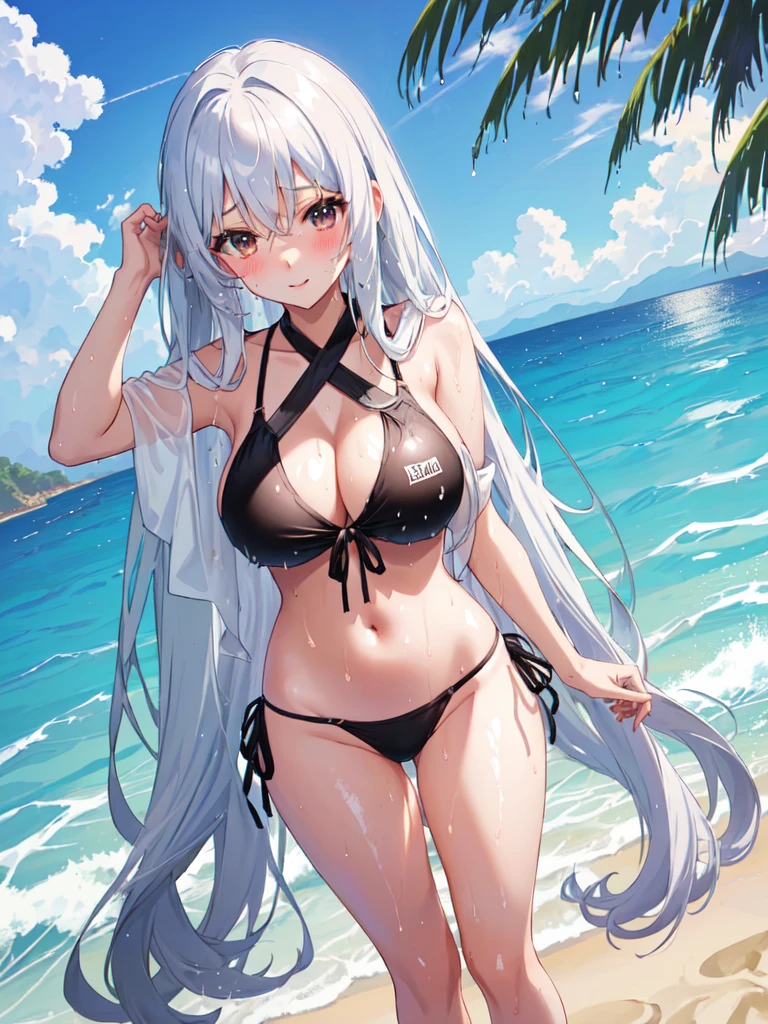 Anime girl, long hair, sweaty, huge breats, in a bikini, wet, on the beach, standing, evening, anime style