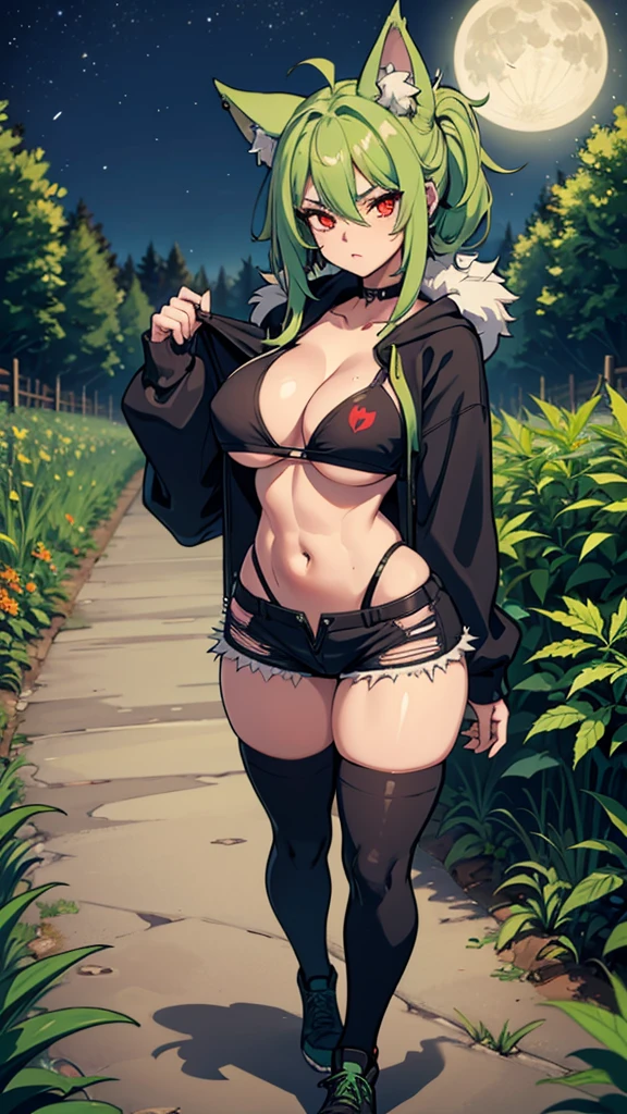 Croped, cleavage, slim waist, cropped hoodie underboob, cropped hoodieunderboobhoodie, 1 girl, 2 wolf ears, wolf tail, marijuana crop hoodie, crop shorts, marijuana hoodie, spiky hair, spiky fur, green hair, red eyes,marijuana field, tight clothes, perfect eyes, perfect hands, clear resolution, full body, cleavage skin, marijuana plants, open hoodie, marijuana field, black thigh high socks, full body, earrings, 1girl, skirt,  cleavage, slim waist, cleavage, slim waist, hair pulled back, big breast, round butt, slim waist, best quality, thick thighs, D-cup breast, 4k quality, night time, full moon