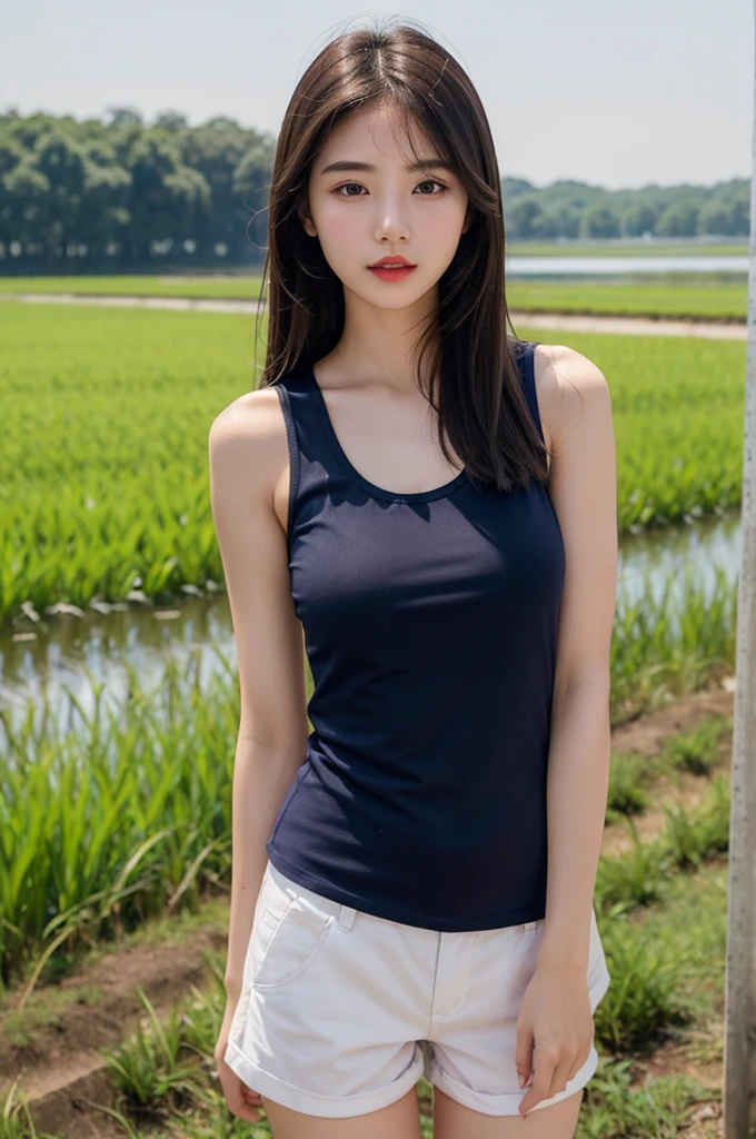 A very cute girl, solo, young, wearing navy tank top and short pants, big breasts, white and smooth skin, standing, long hairs, red lip, at rice field, realistic face