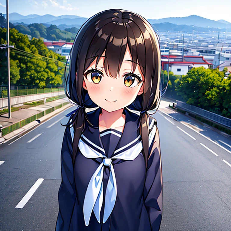 1girl, standing, head tilt,
sea in distance, (downhill, sloped road leading to the back), wide single road in Japan, port city, cityscape in distance,
gentle smile, 15yo,
(brown eye),
(low twintails girl), low pigtails, black hair, very long hair,
navy blue sailor uniform with blue ribbon, long sleeves,
1 school bag on right shoulder,
city area, stylish, urban,
electric pole, white line on the road, tree on side, white residences on side,
gantry crane, afternoon, spring, superb view,
from front, from a little above,
anime, high brightness, detailed face, detailed eyes,
high quality, ultra detailed, masterpiece, FHD