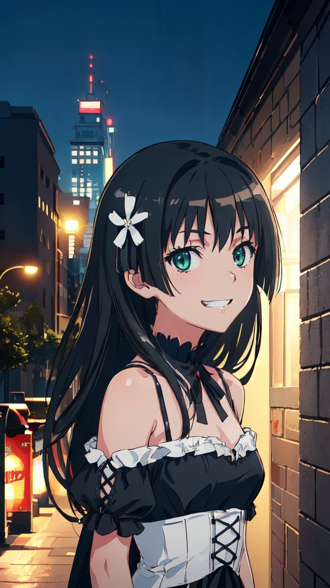  (High resolution:1.4), (masutepiece:1.2), (High quality:1.3) 1girl, saten ruiko, green eyes, long hair, black hair, small breast, gothic lolita fashion,  cinematic lighting,  pov, grin