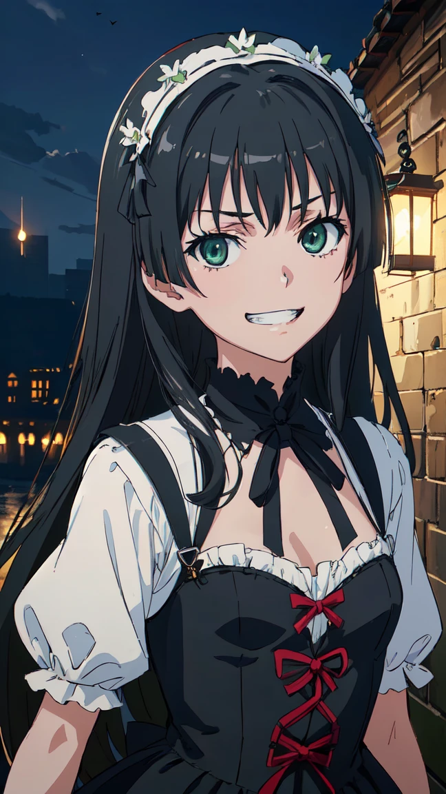 (High resolution:1.4), (masutepiece:1.2), (High quality:1.3) 1girl, saten ruiko, green eyes, long hair, black hair, small breast, gothic lolita fashion, cinematic lighting, pov, grin, A medieval mansion