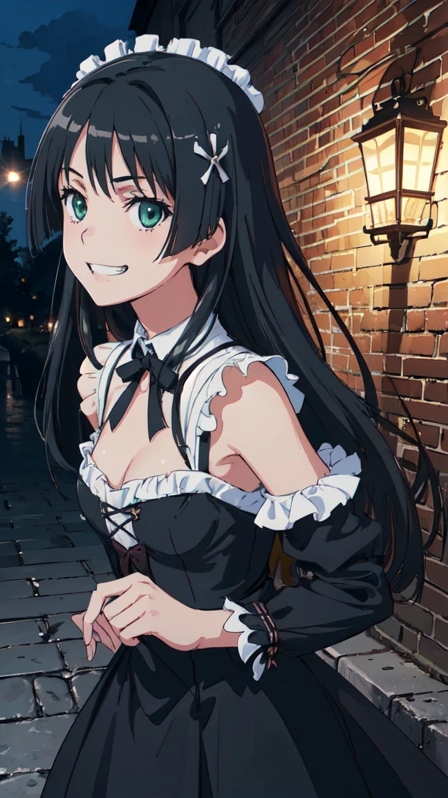 (High resolution:1.4), (masutepiece:1.2), (High quality:1.3) 1girl, saten ruiko, green eyes, long hair, black hair, small breast, gothic lolita fashion, cinematic lighting, pov, grin, A medieval mansion, dynamic angle