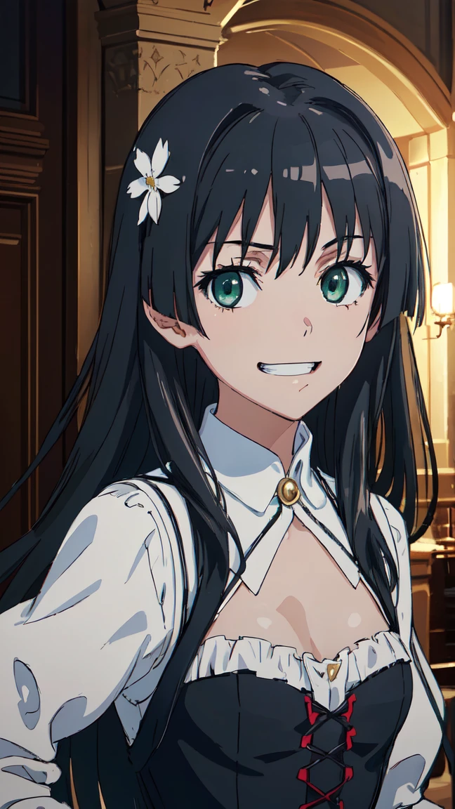  (High resolution:1.4), (masutepiece:1.2), (High quality:1.3) 1girl, saten ruiko, green eyes, long hair, black hair, small breast, A luxurious dress from medieval Europe,  cinematic lighting,  pov, grin, A medieval mansion, dynamic angle, nsfw