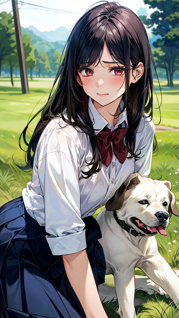 (masterpiece:1.2, top-quality), (realistic, photorealistic:1.4), beautiful illustration, (natural side lighting, movie lighting),
looking at viewer, (extreme close-up, from side), 1 girl, japanese, high school girl, perfect face, (perfect anatomy), cute and symmetrical face, shiny skin,
(middle hair, straight hair, black hair), asymmetrical bangs, dark red eyes, long eye lasher, (medium breasts, seductive thighs, big ass),
beautiful hair, beautiful face, beautiful detailed eyes, beautiful clavicle, beautiful body, beautiful chest, beautiful thigh, beautiful legs,
((insanely detailed clothes, white collared shirt, navy pleated skirt, dark red bow tie)), navy sIn a grassy meadow, a girl is on all fours, and a large dog is holding her from behind, holding her back, and mating with her in the doggy position.
Her face is bright red and flushed, her eyes are closed, her mouth is open and she cries out.chool
(beautiful scenery), depth of field, evening, (
