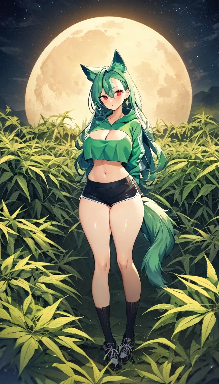 Croped, cleavage, slim waist, cropped hoodie underboob, cropped hoodieunderboobhoodie, 1girl, 2 wolf ears, wolf tail, marijuana crop hoodie, crop shorts, marijuana hoodie, spiky hair, spiky fur, green hair, red eyes,marijuana field, tight clothes, perfect eyes, perfect hands, clear resolution, full body, cleavage skin, marijuana plants, open hoodie, marijuana field, black thigh high socks, full body, earrings, 1girl, skirt, cleavage, slim waist, cleavage, slim waist, hair pulled back, big breast, round butt, slim waist, best quality, thick thighs, 4k quality, night time, full moon