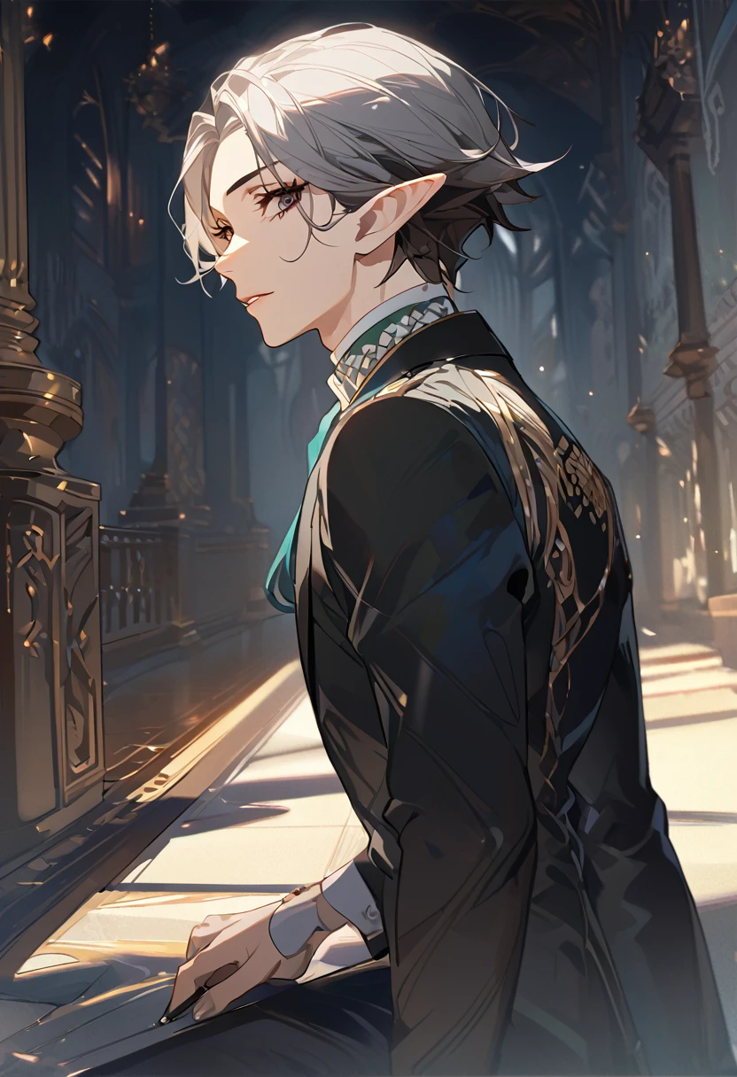 masterpiece, best quality, 8k ,4k , 1 male, elf, long ears elf, dark grayish hair, dark greenish eyes, hair ornament, finely detailed eyes and detailed face, looking at viewer, from side, meticulous clothes, formal clothes, combination of white and black coat, half cape by the shoulders, patterned clothes, majestic looks, sharp looks, shadows, inspired by Asukaziye artist : ask, art style : ask