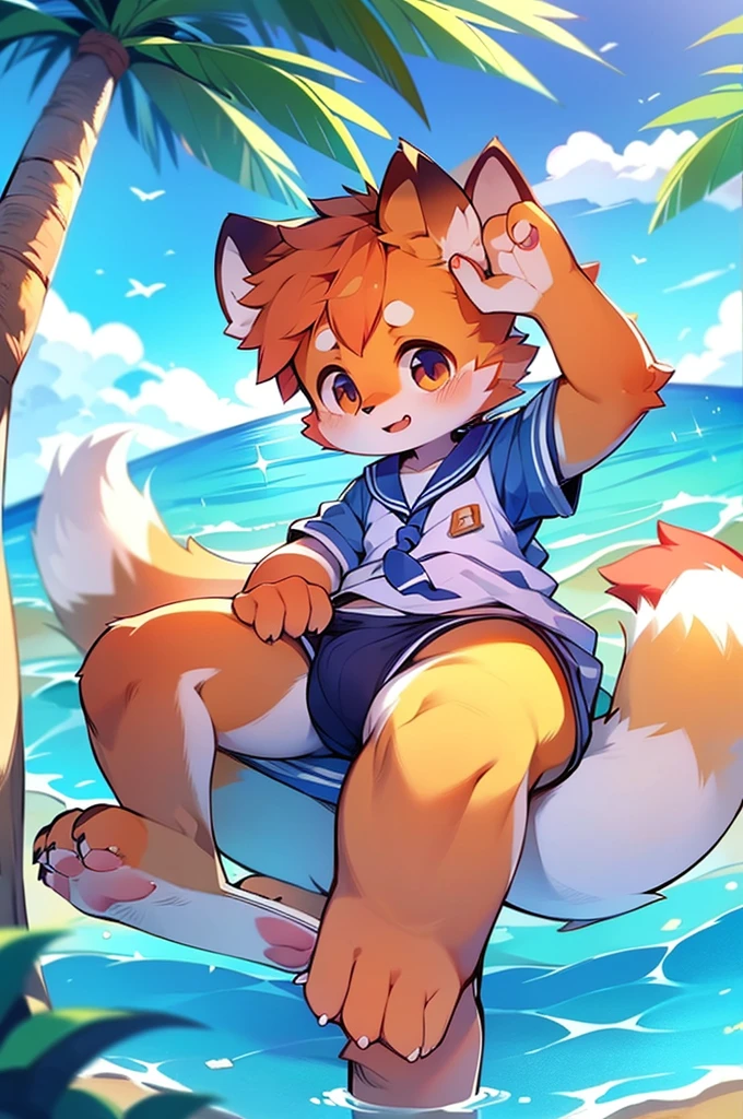 Red Panda Boy,male,One person,Ocean,Sailor suit