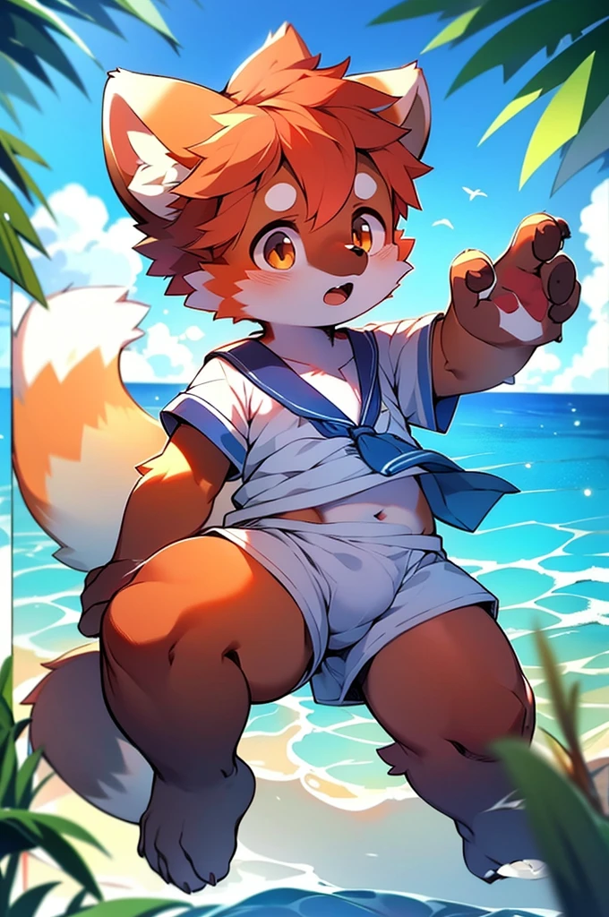 Male Red Panda，Ocean，Appearance in a sailor suit，One person，