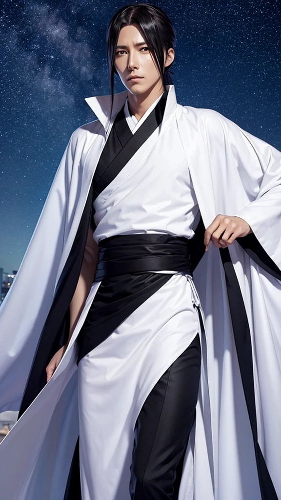 Byakuya from Bleach,male,good looking,Bankai Senbonzakura Keigan,Hair Clip Starry Sky,