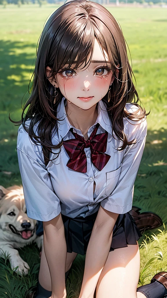 (masterpiece:1.2, top-quality), (realistic, photorealistic:1.4), beautiful illustration, (natural side lighting, movie lighting),
looking at viewer, cowboy shot, front view:0.6, 1 girl, japanese, high school girl, perfect face, cute and symmetrical face, shiny skin,
(long hair:1.8, straight hair:1.7, light brown hair), parted bangs, emerald green eyes, long eye lasher, (large breasts:0.9, thick thighs),
beautiful hair, beautiful face, beautiful detailed eyes, beautiful clavicle, beautiful body, beautiful chest, beautiful thigh, beautiful legs, beautiful fingers,
((, white collared shirts, black pleated mini skirt, black socks, brown loafers, red bow tie)), break, hoop ring earrings, pink panties, dark blue violet cardigan, break,
(beautiful scenery),
.In a grassy meadow, a girl is on all fours, and a dog is holding her from behind and holding her close at the waist.
The girl's face is bright red and flushed, her eyes are closed, her mouth is open, and she cries out.In the grass of a meadow, a girl is on all fours, and a large dog is hugging her back from behind, overlapping her body.
Her face was bright red and flushed, her eyes were closed, her mouth was open and she cried out.