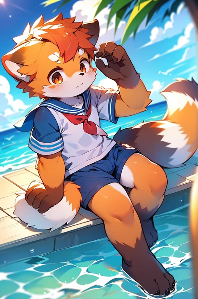 Male red panda, sea, appears in sailor suit! One in heat, sitting,