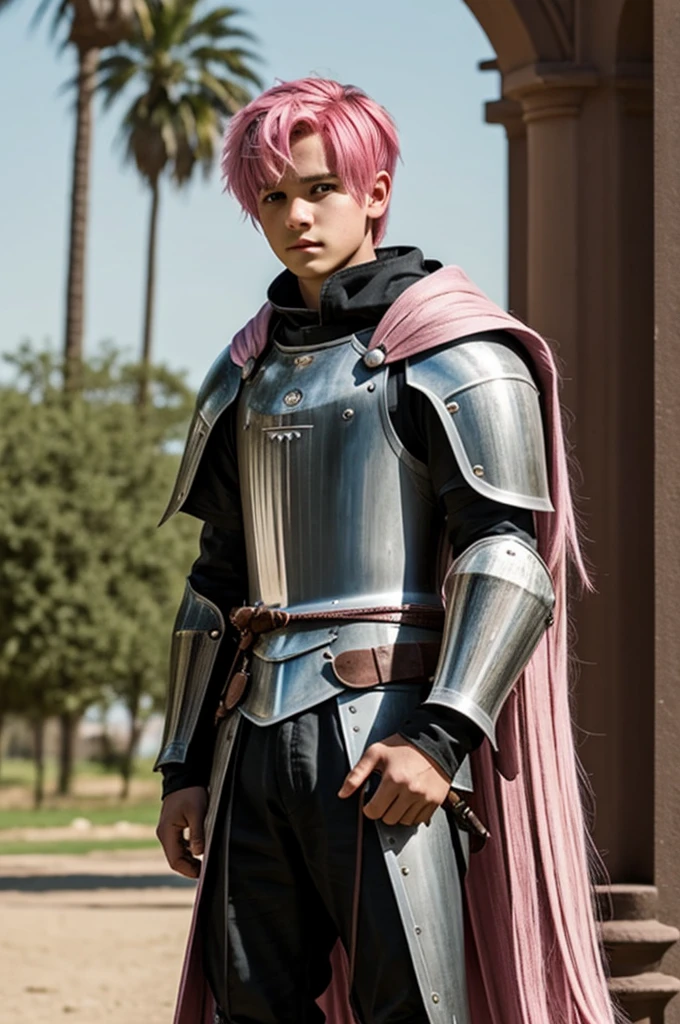 A lone boy knight with a pink hair