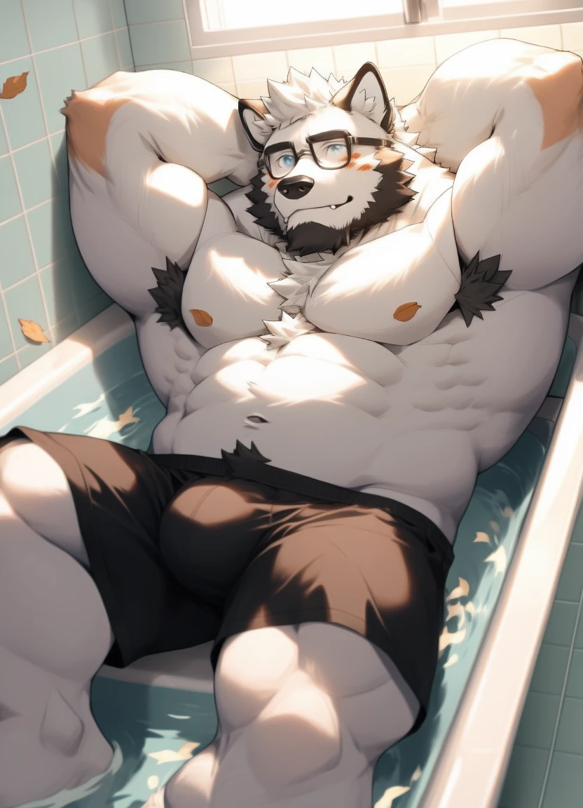 hairy,(Wolf,Naked from the waist down,Light-colored shorts,Black-rimmed glasses,),beard,white fur,male,Common,full-body shot, bathroom,tub,lying down,Blushing shy expression,There are fallen leaves,Sunlight,Detailed background,Extremely lifelike shadow,masterpiece,Very detailed,lifelike, big bulge,