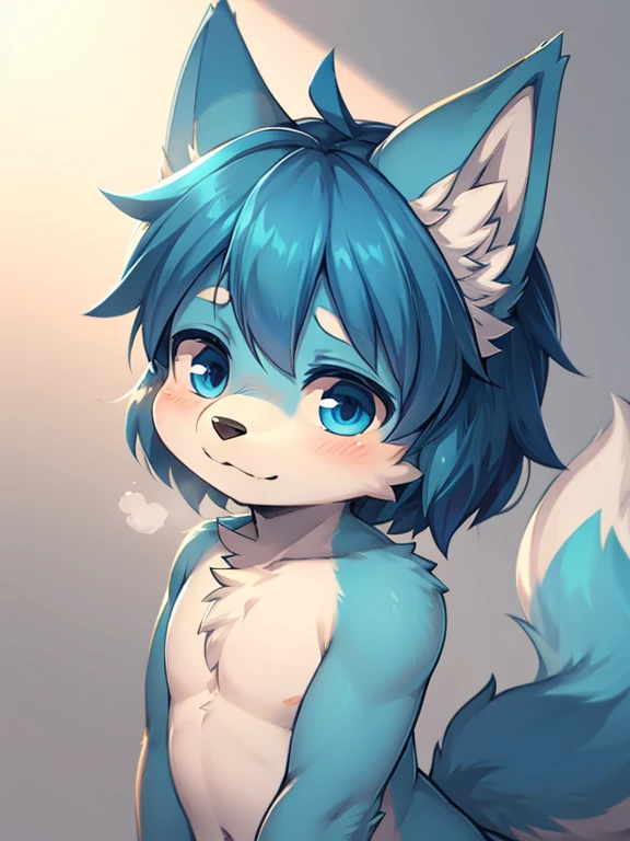 Blue cute male blue ear wolf with slightly round ears and single tail
