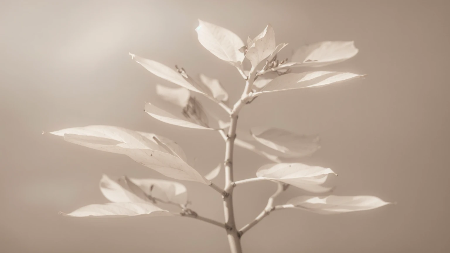 a close-up of a plant with leaves on a stem, leaves and stems of magnolia, soft sepia tones, sepia toned, sepia colors, cores legais em sepia tones, monochromatic soft colors, sepia tones, dried leaves, magnolia stems, Magnolia large leaves and stems, sepia tones, branches and foliage, plant photography, botanic foliage