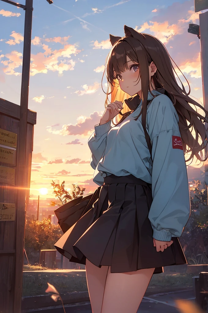 Sally Acorn, One girl, alone, wood, null, Outdoor, skirt, cloud, brown, hair, sunset, lens, Flare, scenery, , sun, Wind, length, sleeve, Animal Nose