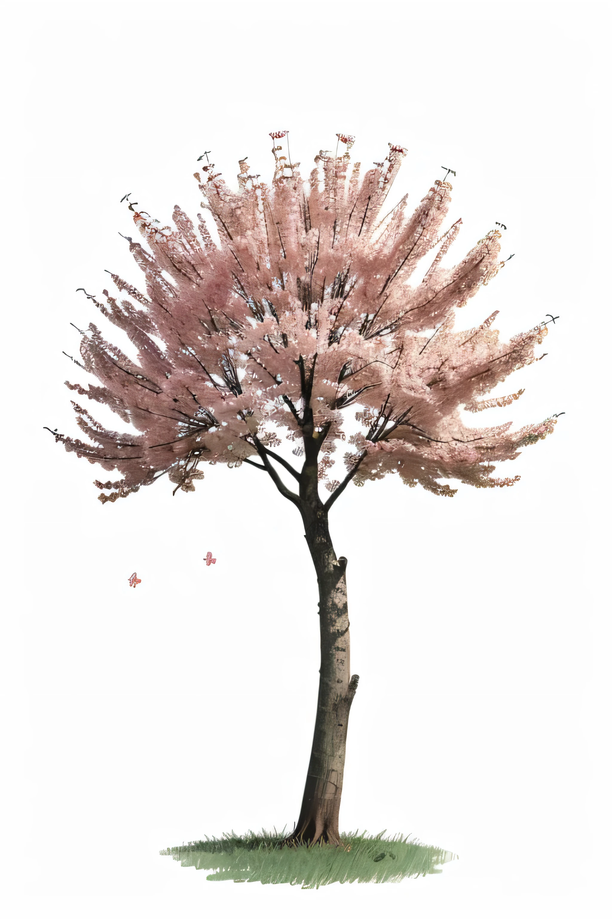 Flower tree illustration