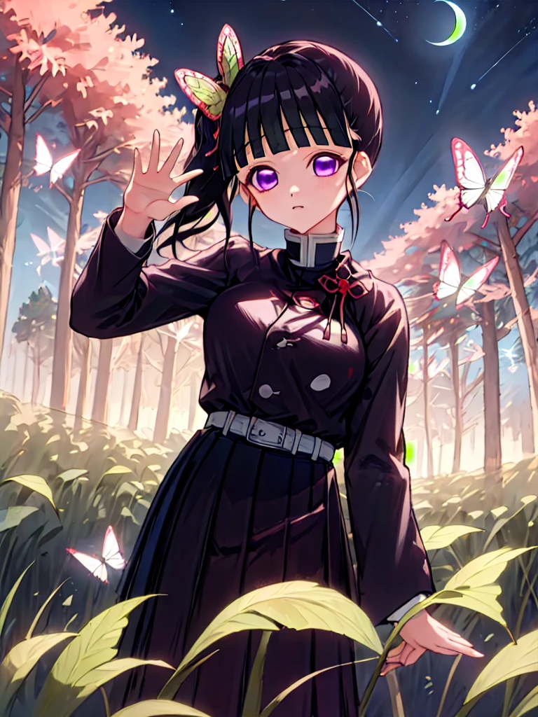 masterpiece, best quality, highres,
kanaodef, 1girl, solo, purple eyes, black hair, long hair, blunt bangs, bangs, hair ornament, bug, butterfly, side ponytail, butterfly hair ornament,
skirt, long sleeves, jacket, black jacket, pleated skirt, belt, black skirt, knee, buckle, sheathed, belt buckle, white belt, cape, white cape, demon slayer uniform, kimetsu no yaiba,
upper body, looking at viewer, hand on hips, waving, waving arms, outdoors, forest, field, night, night sky, starry sky,