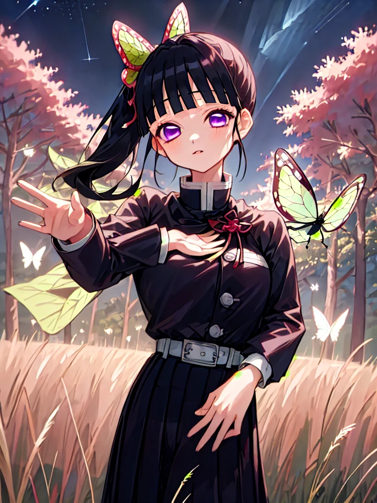 masterpiece, best quality, highres,
kanaodef, 1girl, solo, purple eyes, black hair, long hair, blunt bangs, bangs, hair ornament, bug, butterfly, side ponytail, butterfly hair ornament,
skirt, long sleeves, jacket, black jacket, pleated skirt, belt, black skirt, knee, buckle, sheathed, belt buckle, white belt, cape, white cape, demon slayer uniform, kimetsu no yaiba,
upper body, looking at viewer, hand on hips, waving, waving arms, outdoors, forest, field, night, night sky, starry sky,