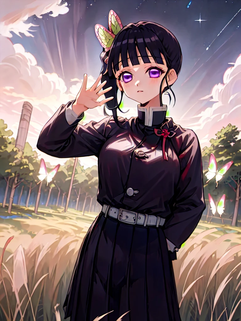 masterpiece, best quality, highres,
kanaodef, 1girl, solo, purple eyes, black hair, long hair, blunt bangs, bangs, hair ornament, bug, butterfly, side ponytail, butterfly hair ornament,
skirt, long sleeves, jacket, black jacket, pleated skirt, belt, black skirt, knee, buckle, sheathed, belt buckle, white belt, cape, white cape, demon slayer uniform, kimetsu no yaiba,
upper body, looking at viewer, hand on hips, waving, waving arms, outdoors, forest, field, night, night sky, starry sky,