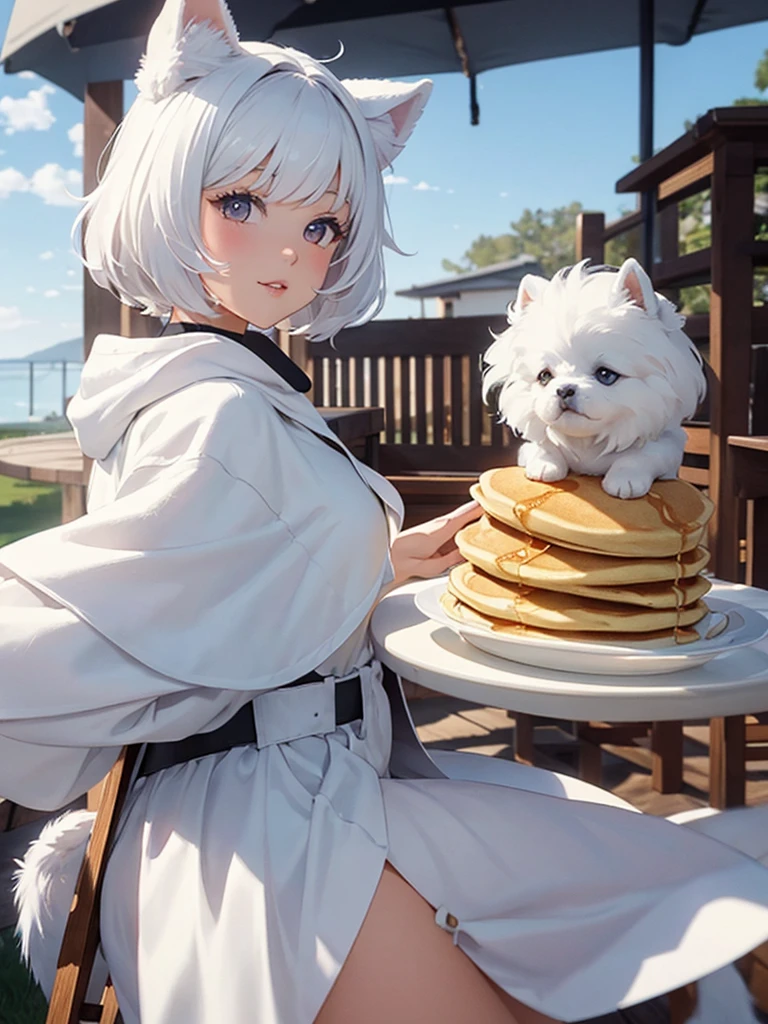 Pancakes and a fluffy white dog - cool XANA logo