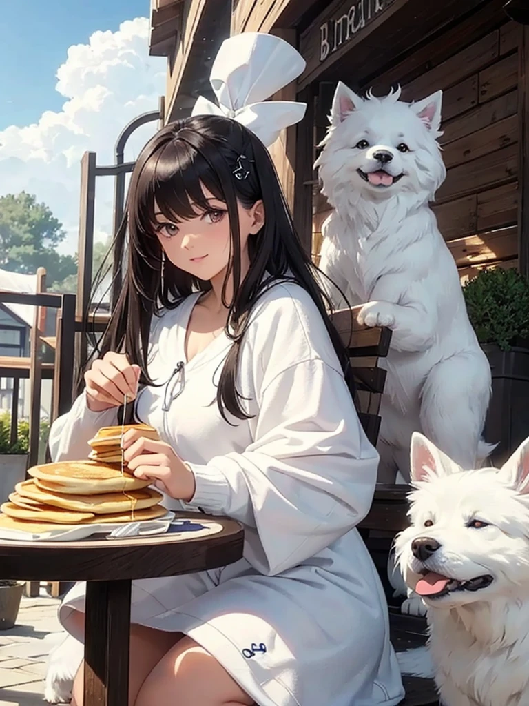 Pancakes and a fluffy white dog - cool XANA logo