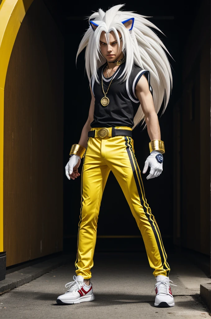 Male sonic character of the hedgehog species, white in color with two yellow stripes on the forehead with black aaesino clothing and wristbands, with greenish pants, black sneakers and a red belt red eyes, long white hair with bangs and a gold necklace and white gloves