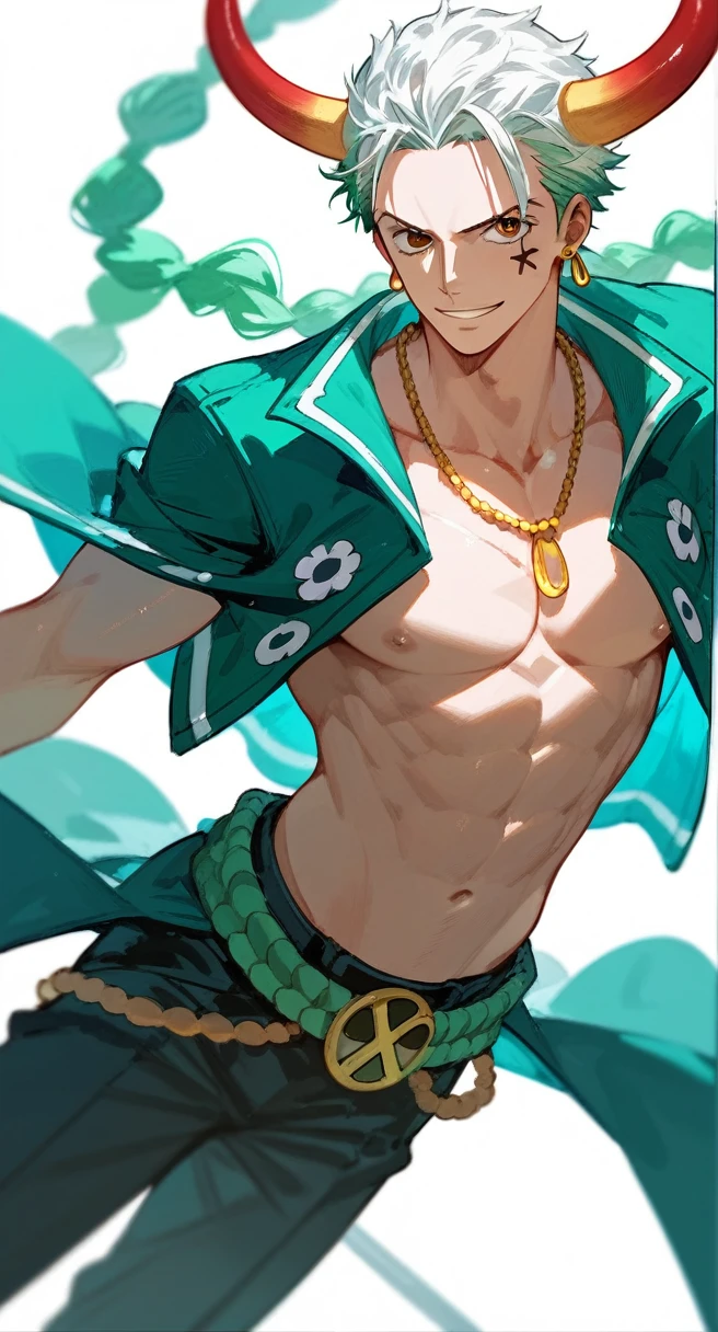 one piece zoro