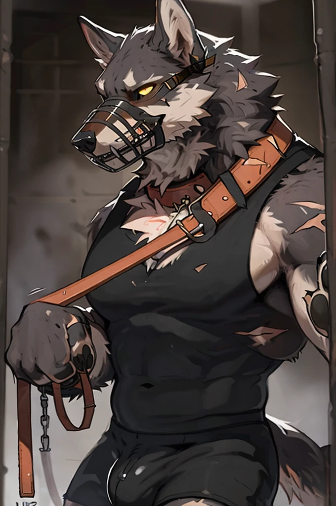 close up, furry, anthro, giant werewolf,wolf ears,wolf tail, dark grey and white fur, messy fur, neck floof, yellow glowing eyes, razor sharp teeth, muscular body, handsome, monstrous, tall, holding leash connected to dog collar, alone, wearing a red dog collar with dog leash, caged dog muzzle, black shirt, black baggy boxer shorts with giant bulge, body covered in scars, pawpads, black pawpads, best quality, 4K, UHD, masterpiece, black background, 