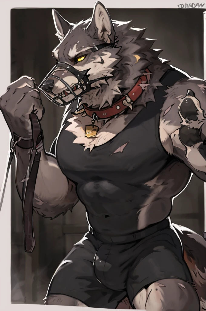 close up, furry, anthro, giant werewolf,wolf ears,wolf tail, dark grey and white fur, messy fur, neck floof, yellow glowing eyes, razor sharp teeth, muscular body, handsome, monstrous, tall, holding leash connected to dog collar, alone, wearing a red dog collar with dog leash, caged dog muzzle, black shirt, black baggy boxer shorts with giant bulge, body covered in scars, pawpads, black pawpads, best quality, 4K, UHD, masterpiece, black background,