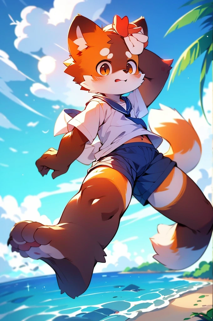 Red Panda Boy,male,One person,Ocean,Sailor suit