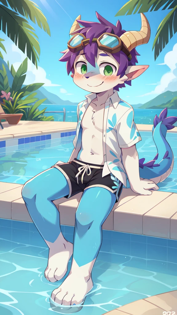 score_9,score_8_up,score_7_up, source_cartoon, source_furry, dragon boy, horns, green eyes, tail, purple hair, shota, , furry, blush, dragon tail, looking at viewer, smile, 1boy, dragon horns, pointy ears, , short hair, furry male, two tone body fur, blue body fur, clear blue body fur, ((goggles, white hawaiian shirt, open clothes, black swim trunks)), full body, feets with three toes, 3 toes, sitting on a pool, pool, clear sky, 