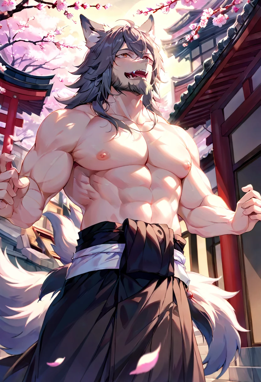 masterpiece,best quality, from high angle,kemono, anthro (wolf), male, (wolf), beard,middle-aged, gray body,white belly,muscular,japanese traditional clothes, white (fundoshi),((open) black formal kimono),,japanese building,look up to the sky,majestic,brutal,confident,strong,cherry blossoms, sakura blossoms leaves, outdoors, dynamic angle,depth of field,delicate canine tooth,correct anatomy, correct hand,,hd, dim ,dark,dark shadows, light against dark,cinematic, dramatic light,wide dynamic range, hdr, low light:1.2, by Pino Daeni, (by ruaidri), by virtyalfobo