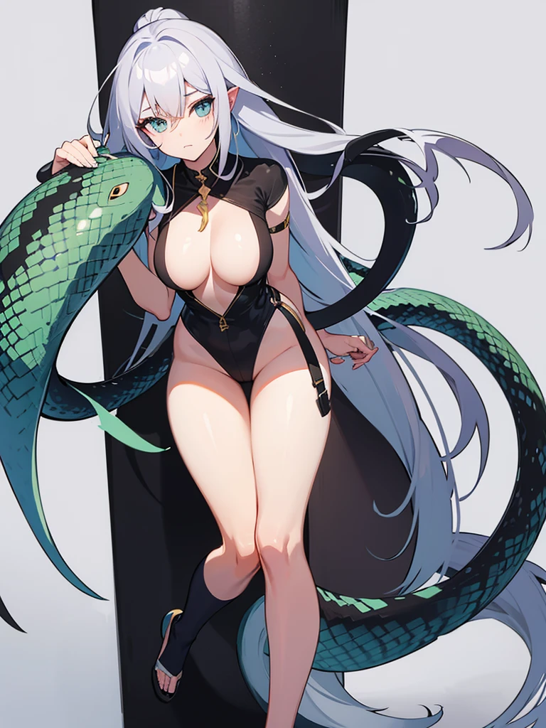 A snake girl with long hair and a long tail, She has a tail instead of legs