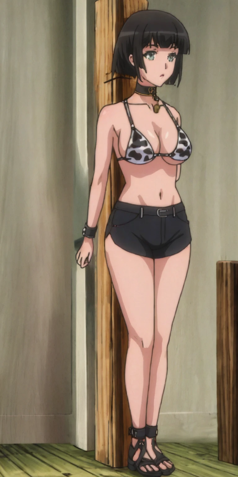 (Masterpiece, best quality, intricate details, 1sologirl) iron collar, arms behind back, iron cuffs, shackles, bound ((standing by wooden pole:1.2)) ((female Black Dark skin Gyaru)) show entire body frontal position, feet in view, realistic, gorgeous 16y.o. darkest skinned mixed race female, black African, barefoot no shoes, looking to viewer straight symmetrical, solo girl looking to the camera, cow bell choker leather collar choker neck bell, metal sandals, black and white bikini (cow pattern) black thigh highs
