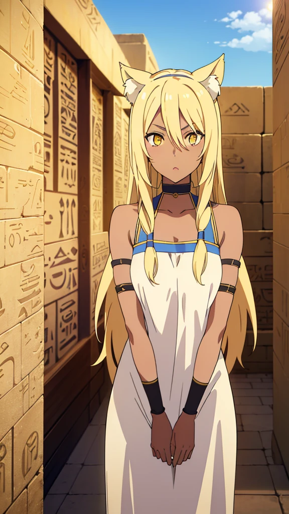 (1girl ,solo,20s,mature female),blonde hair,long hair,cat ears,yellow eyes,(((dark skin))),(Egypt, blue sky, sun),white egypt oufit,bare shoulders,looking at view,blank eyes,((surprised))