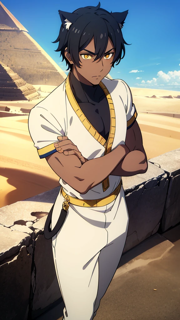 (1boy,solo,20s,mature male),black hair,short hair,cat ears,yellow eyes,(((dark skin))),(Egypt, blue sky, sun),white battle oufit,looking at view,serious,crossed arms