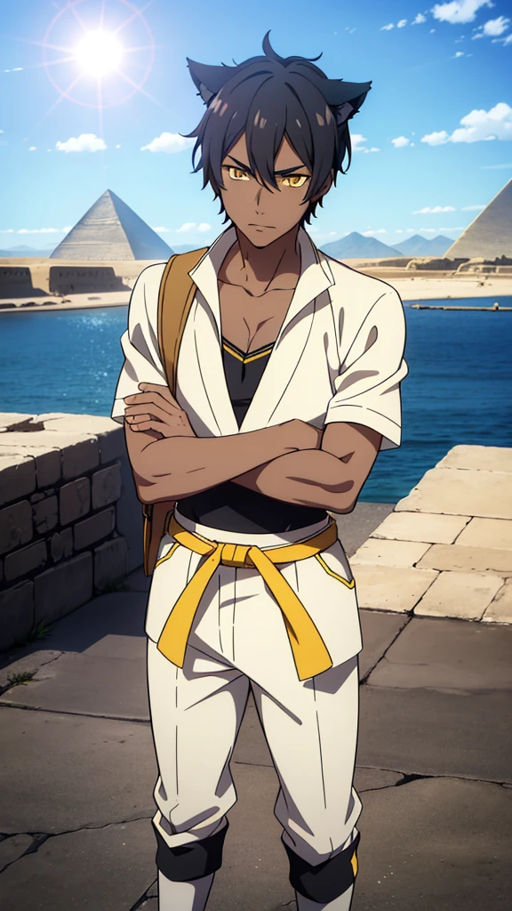 (1boy,solo,20s,mature male),black hair,short hair,cat ears,yellow eyes,(((dark skin))),(Egypt, blue sky, sun),white battle oufit,looking at view,serious,crossed arms