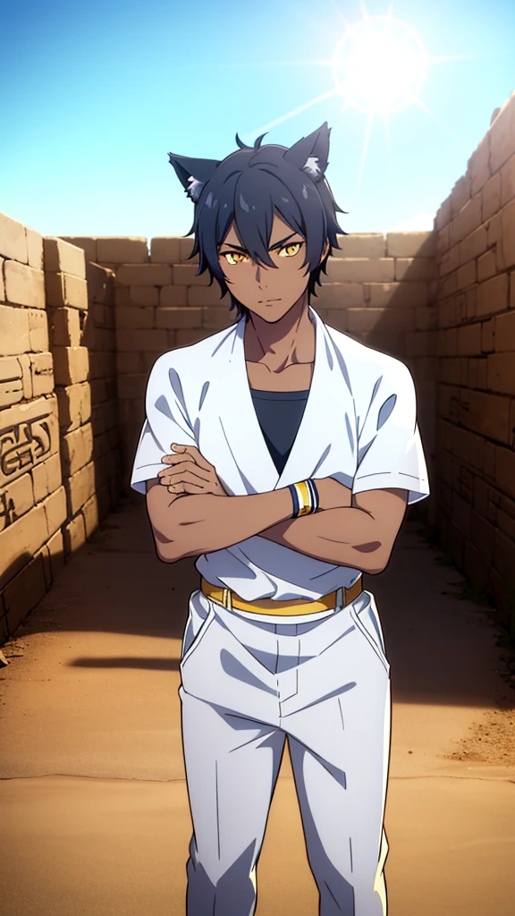 (1boy,solo,20s,mature male),black hair,short hair,cat ears,yellow eyes,(((dark skin))),(Egypt, blue sky, sun),white egypt oufit,looking at view,serious,crossed arms