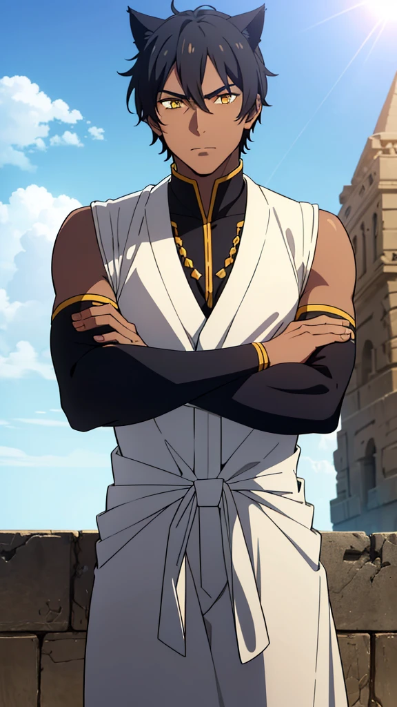 (1boy,solo,20s,mature male),black hair,short hair,cat ears,yellow eyes,(((dark skin))),(Egypt, blue sky, sun),white battle oufit,looking at view,serious,crossed arms
