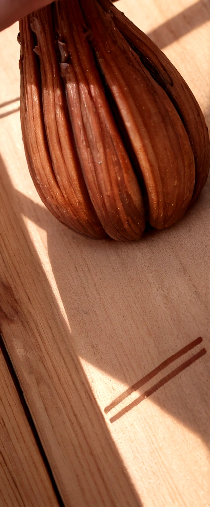 A nut logo that says 'naturally bahia'