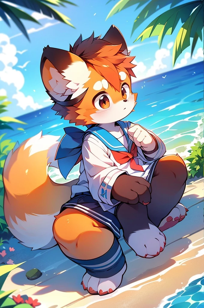 Male Red Panda, Ocean, Appeared wearing a sailor uniform! One in heat, Sitting,